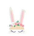 bunny cute cartoon character for birthday baby vector image