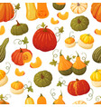 colorful pumpkin pattern vector image