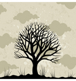 old tree vector image