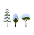 tree evergreen trees covered with snow winter vector image