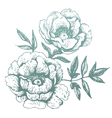 flowers hand-drawn vector image