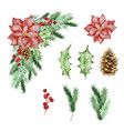 watercolor christmas frame of fir and pine vector image