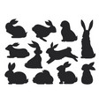 bunny pet silhouette in different poses hare vector image