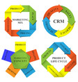 diagrams of marketing vector image vector image