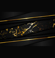 luxury black abstract background combine vector image