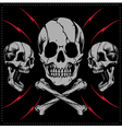skulls and bone cross vector image