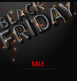 black friday sale banner poster logo vector image vector image