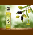 olives with leaves on a branch vector image