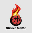 basketball sport design vector image vector image