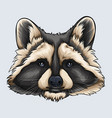 hand drawn grey and beige raccoon face vector image