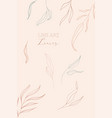 line drawing leaves vector image vector image
