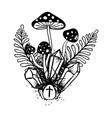 mystical mushrooms crystals and leaves vector image