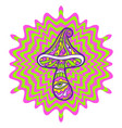 psychedelic magic mushrooms vector image vector image
