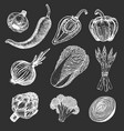 set hand drawn elements with sketch style fresh vector image
