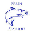 salmon fish with text fresh seafood vector image vector image