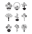 bouquets of flowers vector image