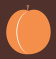 apricot in flat style vector image vector image