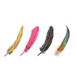 vibrant feather set watercolor vector image