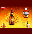 beer ads bottle and wheats on gold bokeh vector image vector image