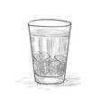 Whiskey glass hand drawn drink Royalty Free Vector Image