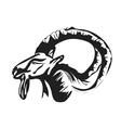 ibex vector image
