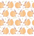 seamless squirrel color vector image vector image