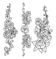 set rose flowers with decorative elements vector image
