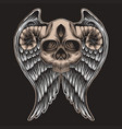 skull horn wing vector image vector image