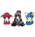 set 4 cartoon hipster dogs vector image