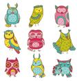 various owl doodle collection vector image