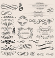 calligraphic elements isolated collection vector image