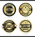 collection of customer satisfaction lifetime vector image