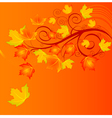 autumn leaves vector image vector image