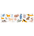 cute dogs and puppies set cartoon happy canine vector image