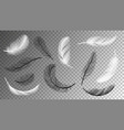 flying feathers collection falling black white vector image vector image