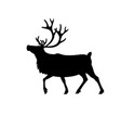 silhouette walking caribou reindeer vector image
