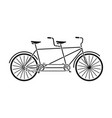 tandem bikepleasure bicycle for two double vector image