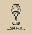 wine glass vintage hand drawn engraving vector image