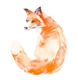 fox isolated on white background watercolor vector image vector image