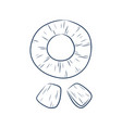 slice of pineapple icon for web design vector image