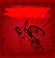 mtb cyclist vector image vector image
