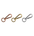 haberdashery accessories metal snap hooks vector image vector image