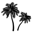 palm tree silhouette vector image