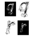 decorative letters q and r in floral style vector image vector image