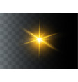 light flare special vector image