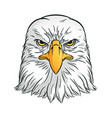eagle head front view falcon bird vector image vector image