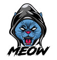 meow angry cat vector image vector image