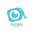 elephant logo vector image vector image