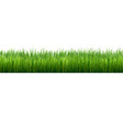 grass border isolated vector image vector image
