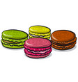 macarons cookies vector image vector image